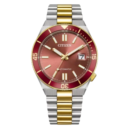 Citizen Tsuyosa Shore NJ0234-58X